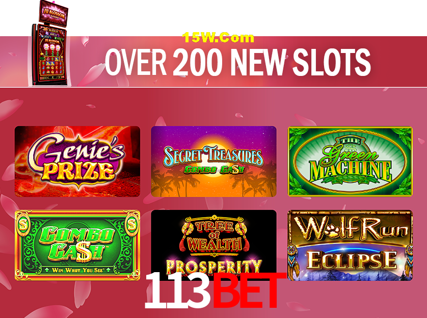 Player Reviews 113bet